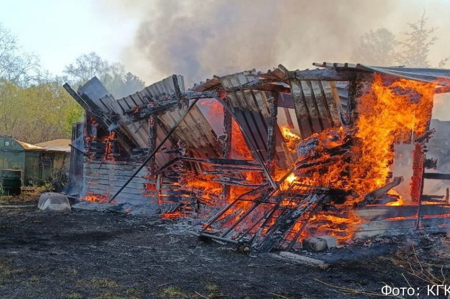 Домашний скот погиб в пожаре на Камчатке. КГКУ «ЦОД»