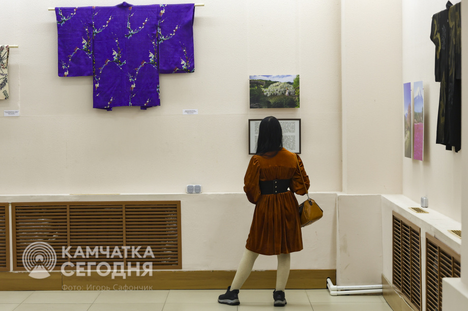 В Камчатском художественном музее открылась выставка о Японии. Фото: «Камчатка Сегодня»/Игорь Сафончик. Фотография 4