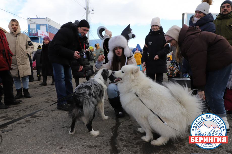 «Берингия-2021». Фото: Виктор Гуменюк. Фотография 127
