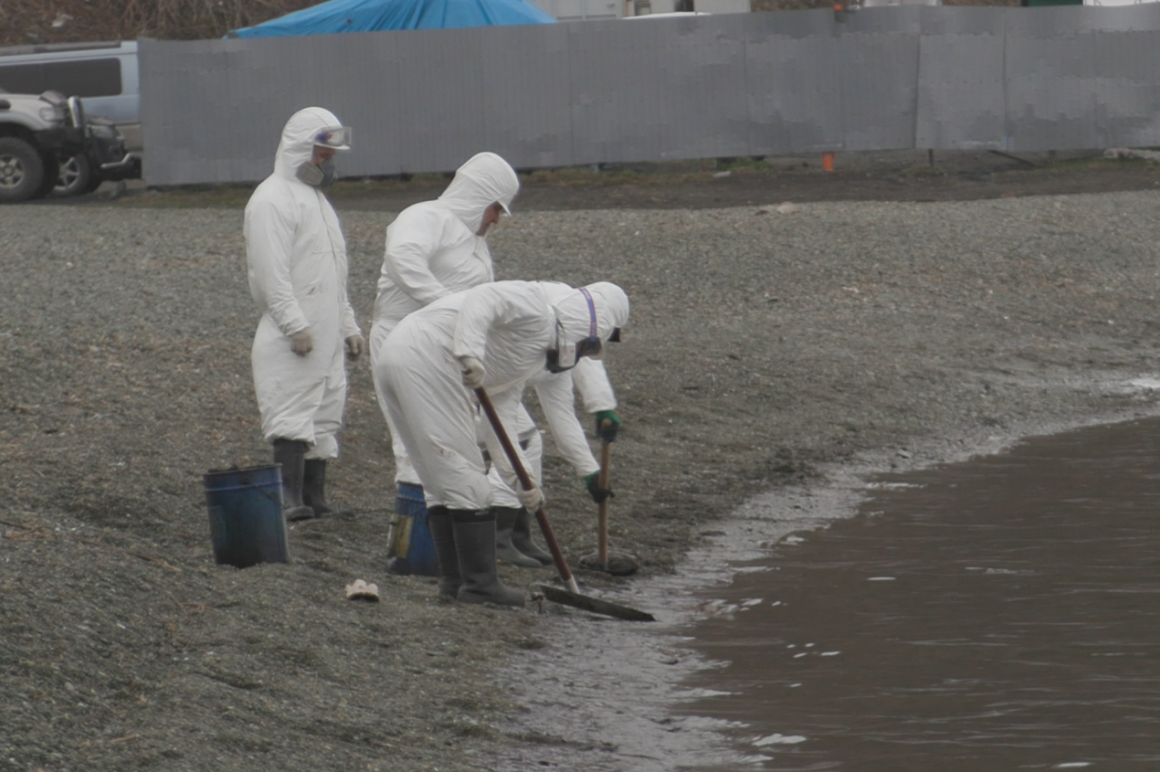 Источник загрязнения Авачинской бухты на Камчатке предположительно находится на пирсе – Минприроды. Фото: ИА "Камчатка". Фотография 3
