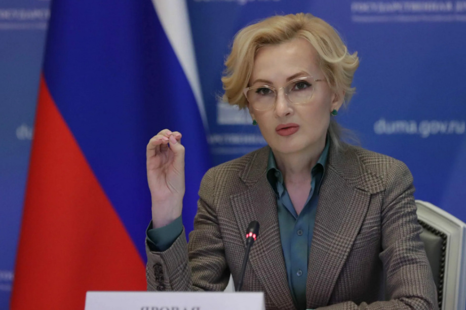 Требования к тем, кто оценивает знания иностранных граждан по русскому языку и истории России, повысят  — Ирина Яровая. Фото: изображение от Freepik