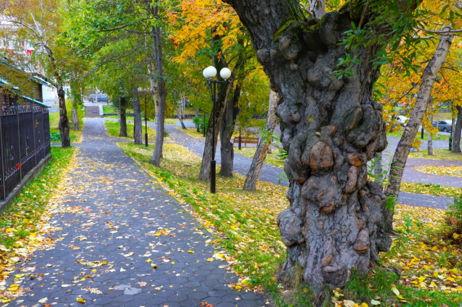 Петропавловск-Камчатский в октябре. Фоторепортаж. Фото: Виктор Гуменюк. Фотография 43