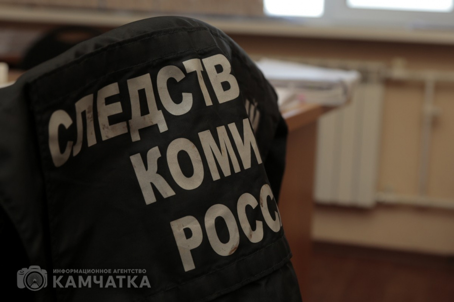 Жительница Камчатки незаконно получила 365 тысяч рублей в виде пособия на детей. Фото: Матвей Парамошин
