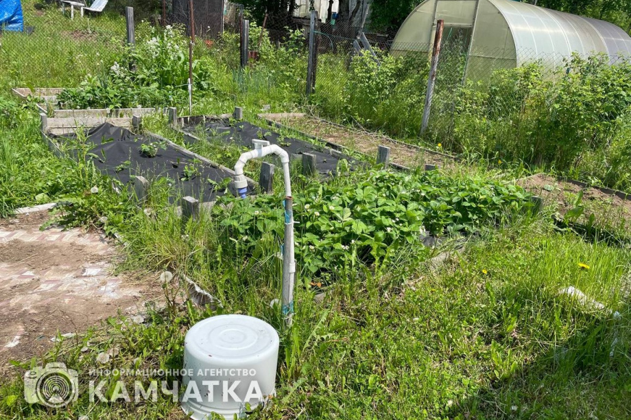 Камчатцу «Дальневосточный гектар» помог в развитии своего бизнеса. фото: ИА "Камчатка"