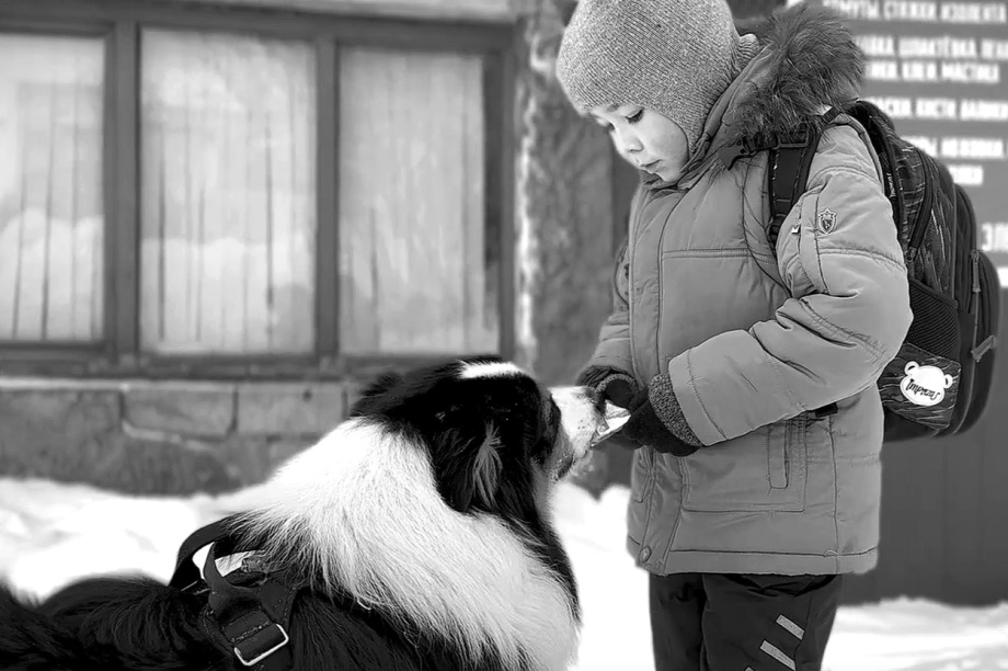 Фильм паланских школьников покажут на кинофестивале в Санкт-Петербурге. . Фотография 3