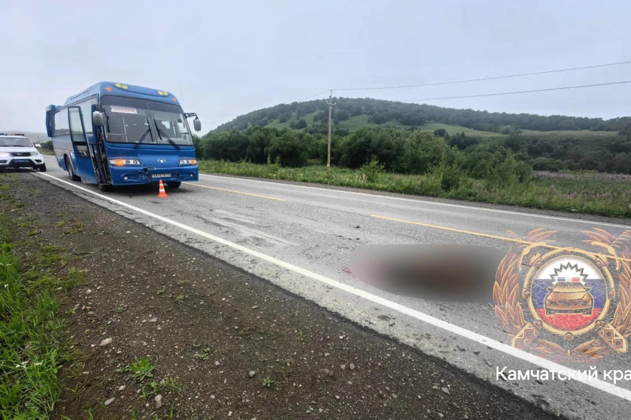 На трассе Петропавловск — Мильково автобус сбил медведя. . Фотография 2