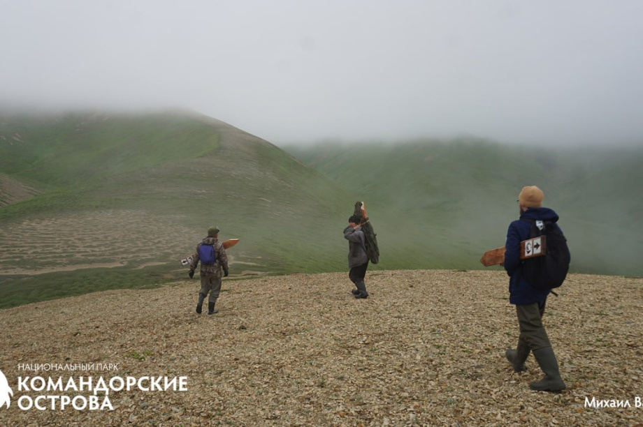 Командорские острова готовятся к наплыву туристов. Фото: Национальный парк "Командорские острова". Фотография 5