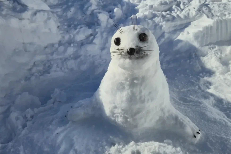 Жители Камчатки создали снежные скульптуры обитателей  местных заповедников. Фото: пресс-служба Кроноцкого заповедника. Фотография 17