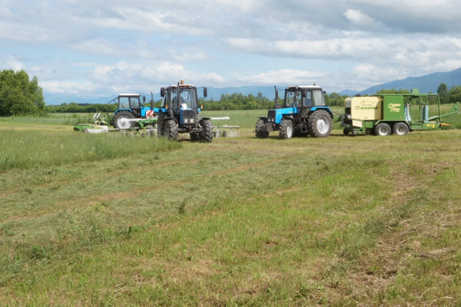 Камчатские сельхозпредприятия получили в 2022 году 1,4 млрд рублей господдержки. Фото: kamgov.ru