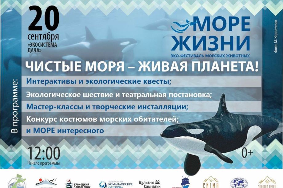 Юные камчатцы превратятся в обитателей океана на фестивале "Море жизни". Фото: Кроноцкий заповедник. Фотография 1