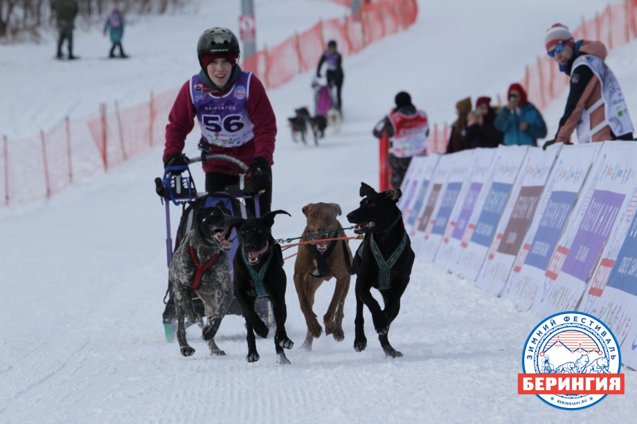 «Дюлин-2021». Фото: Виктор Гуменюк. Фотография 73