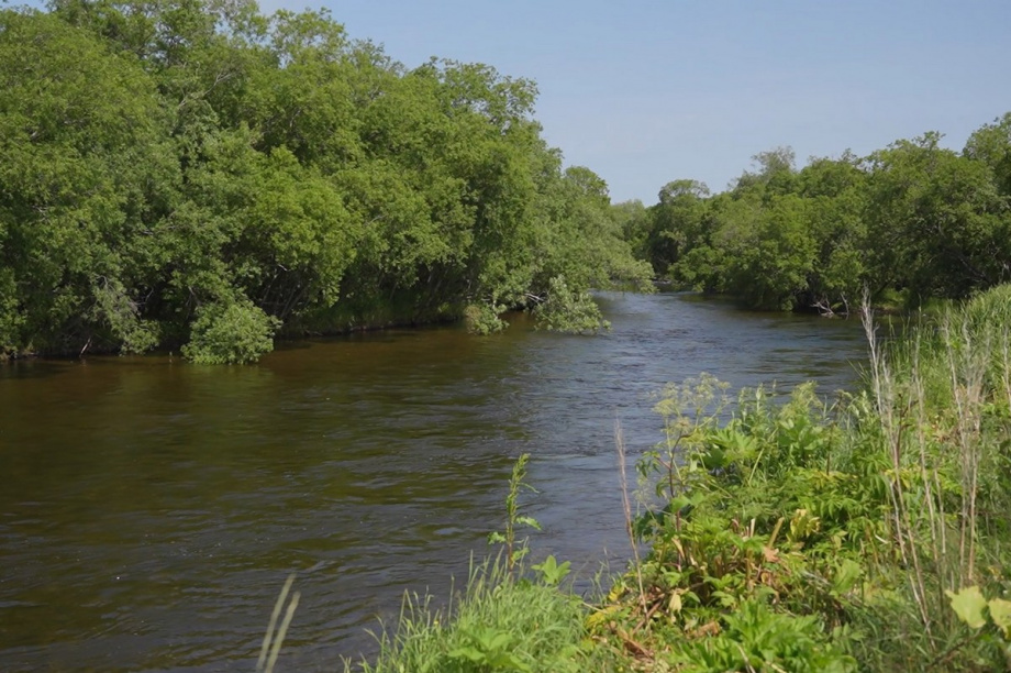В камчатском селе Соболево планируют построить дамбу. Фото: kamgov.ru. Фотография 2