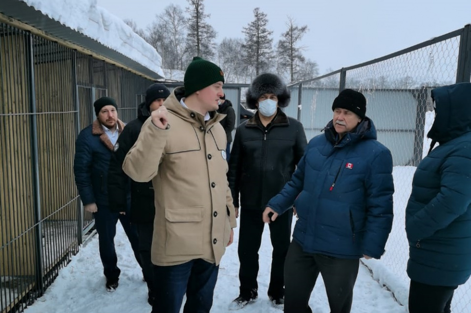 Владимир Солодов посетил приют для безнадзорных животных в селе Эссо. Фото: kamgov.ru. Фотография 4