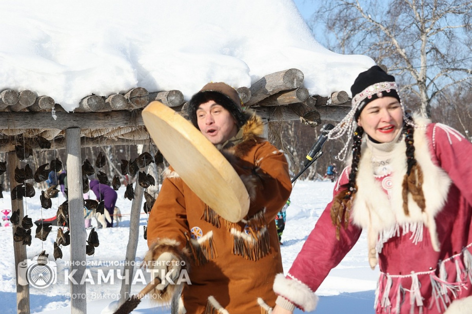 Гонка на собачьих упряжках «Хальч Тхсаном». Фоторепортаж  . Фото: Виктор Гуменюк. Фотография 3