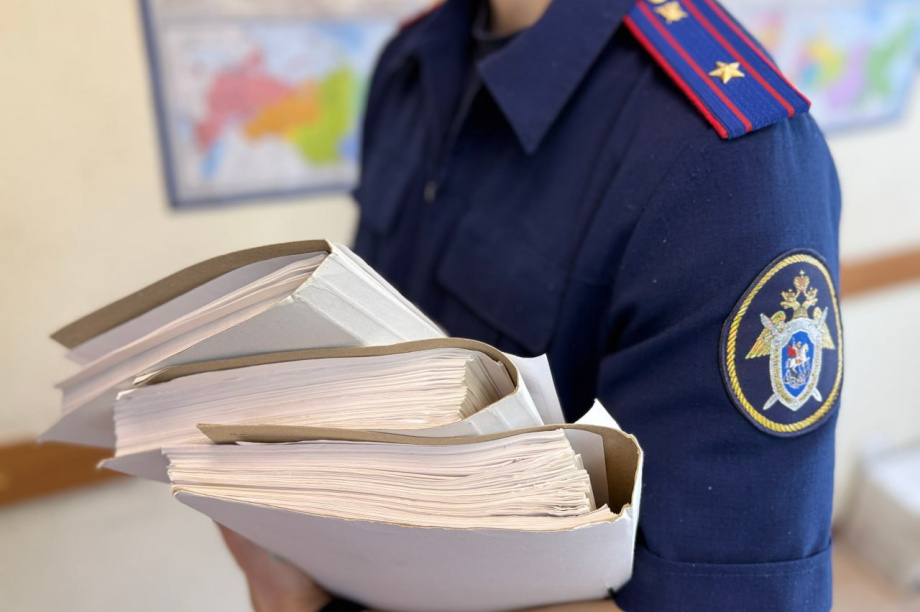 Бывший главный архитектор Елизовского района «продала» 166 земельных участков без торгов. Фото: СУ СК России по Камчатскому краю