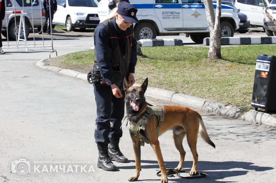 День пограничника празднуют на Камчатке (фоторепортаж). Фото: ИА «Камчатка» / Игорь Сафончик. Фотография 63