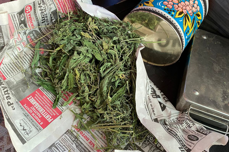 Более 18 кг наркосодержащих растений изъяли сотрудники полиции на Камчатке. Фото: пресс-служба УМВД Росиии по Камчатскому краю. Фотография 3
