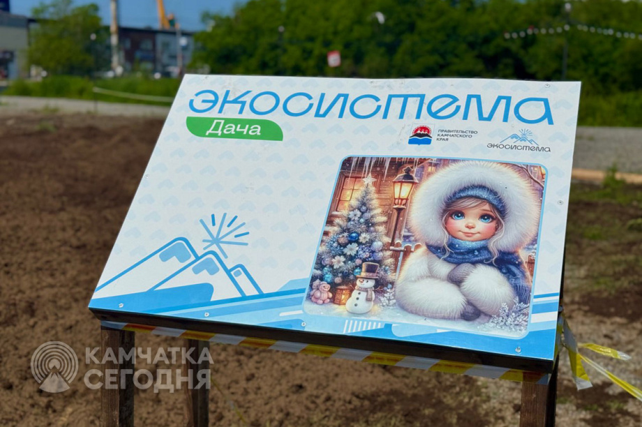 В столице Камчатки благоустраивают экоплощадку в центре города. Фото: ИА "Камчатка". Фотография 7