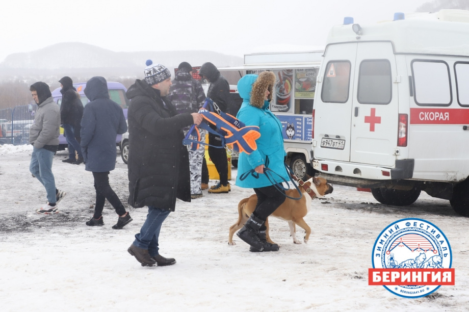 «Снежный путь – 2021». Фото: Виктор Гуменюк. Фотография 45