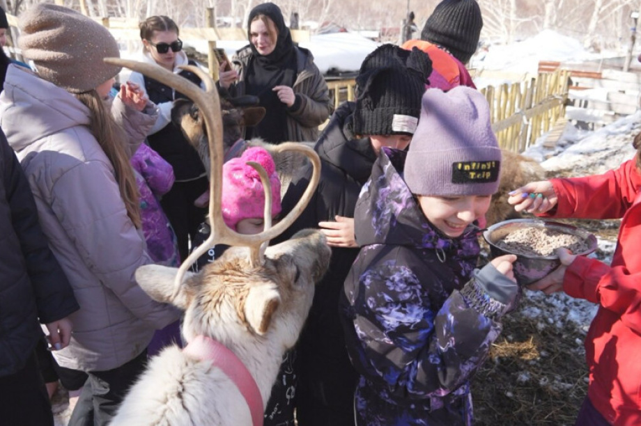 Для камчатских детей участников СВО устроили экскурсию в питомник «Снежные псы». Фото с сайта  kamgov.ru. Фотография 4