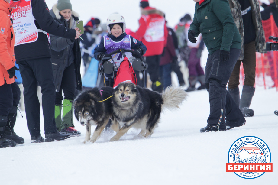 На Камчатке стартовала детская гонка на собачьих упряжках «Дюлин-2021». Фото: Виктор Гуменюк. Фотография 6