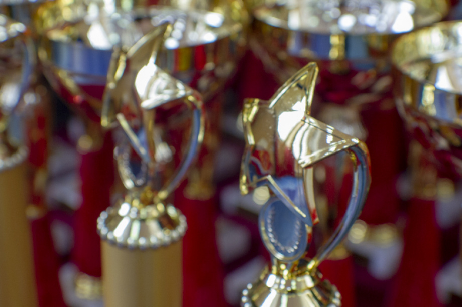 Борцы самбо на Камчатке встретились на ковре турнира ко Дню Победы. Фото: ИА «Камчатка». Фотография 13