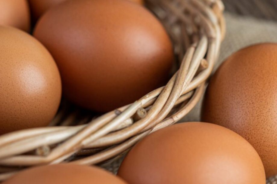 На птицефабрику «Пионерское» на Камчатке завезут новых птиц. Фото: изображение от Freepik