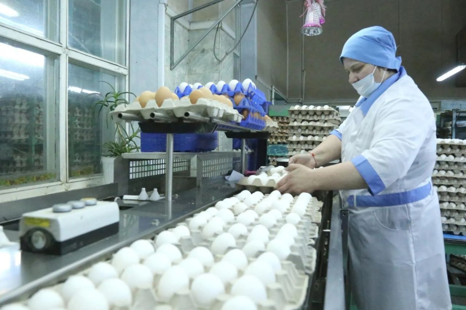 Камчатка встретит Пасху со своими яйцами: дефицита не будет. Фото: Законодательное собрание Камчатского края. Фотография 2