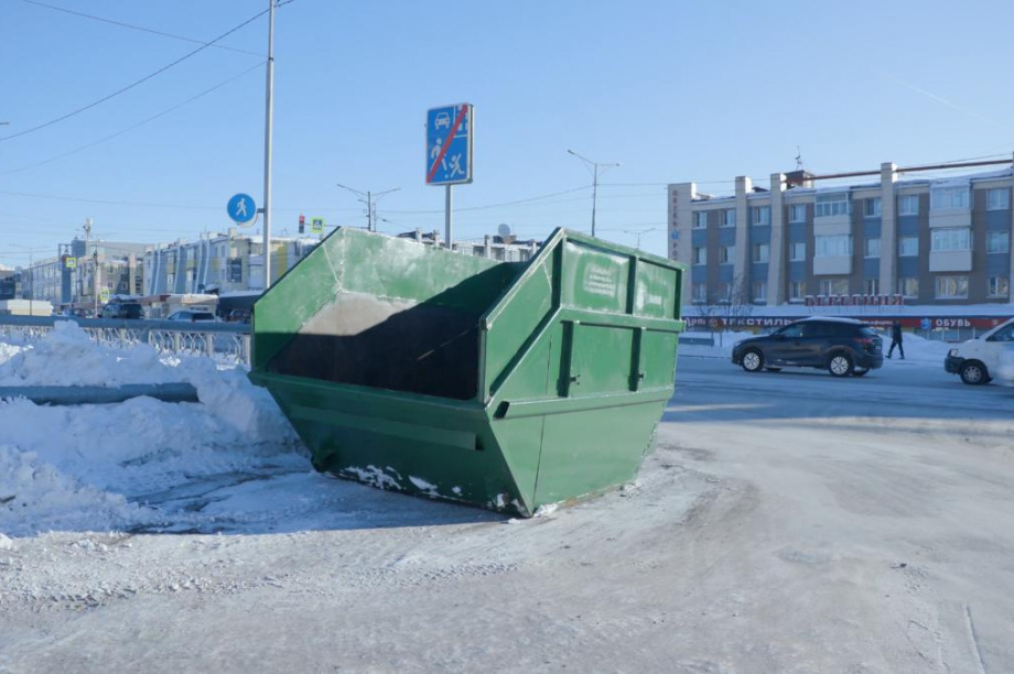 Акция «Ёлки в деле» - на Камчатке стартовал сбор старых новогодних ёлок. Фото: kamgov.ru