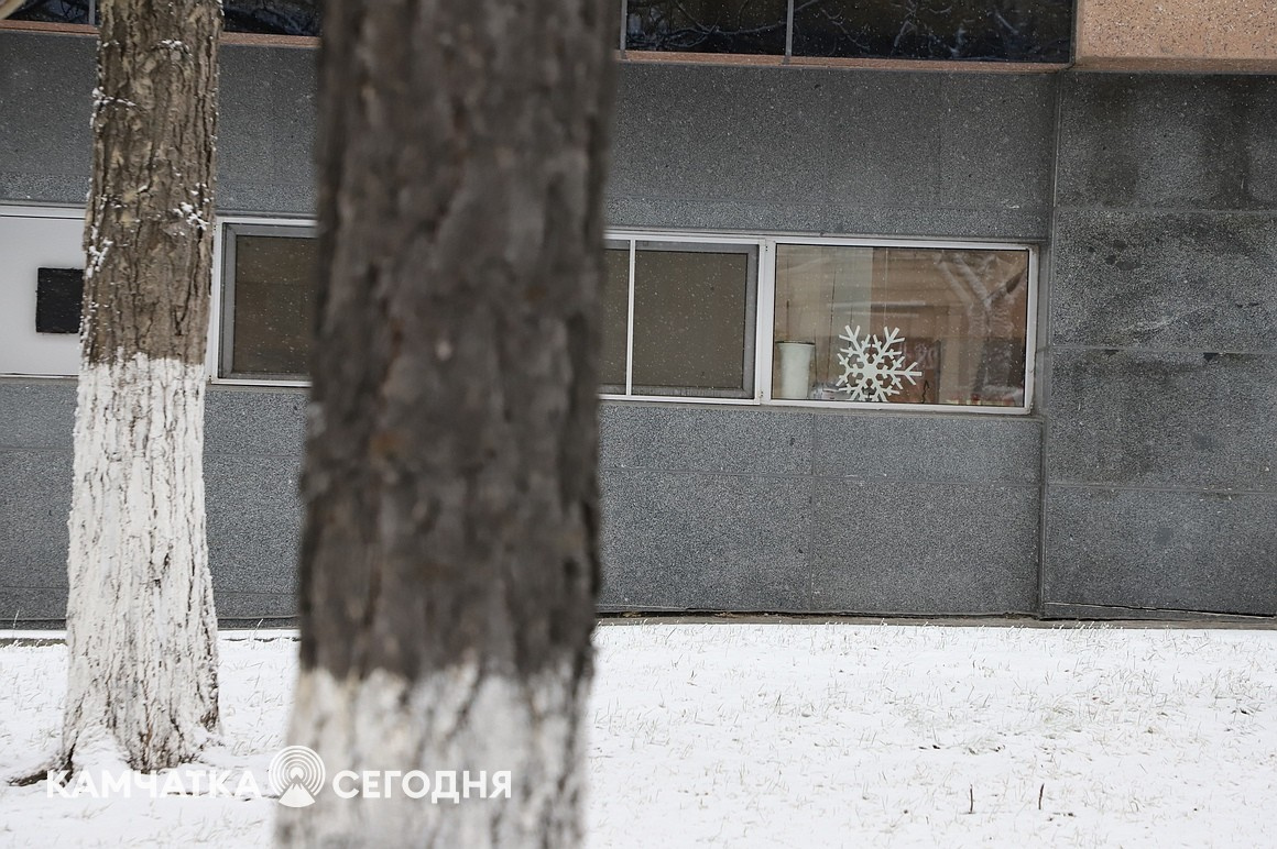 Первый снег выпал в столице Камчатки. Фоторепортаж. Фото: Виктор Гуменюк\ИА "Камчатка". Фотография 14