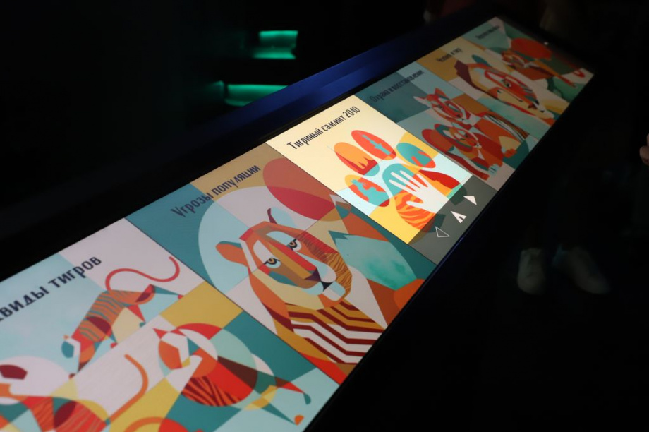 Восточный экономический форум. Фоторепортаж. Фото: Виктор Гуменюк\ИА "Камчатка". Фотография 145