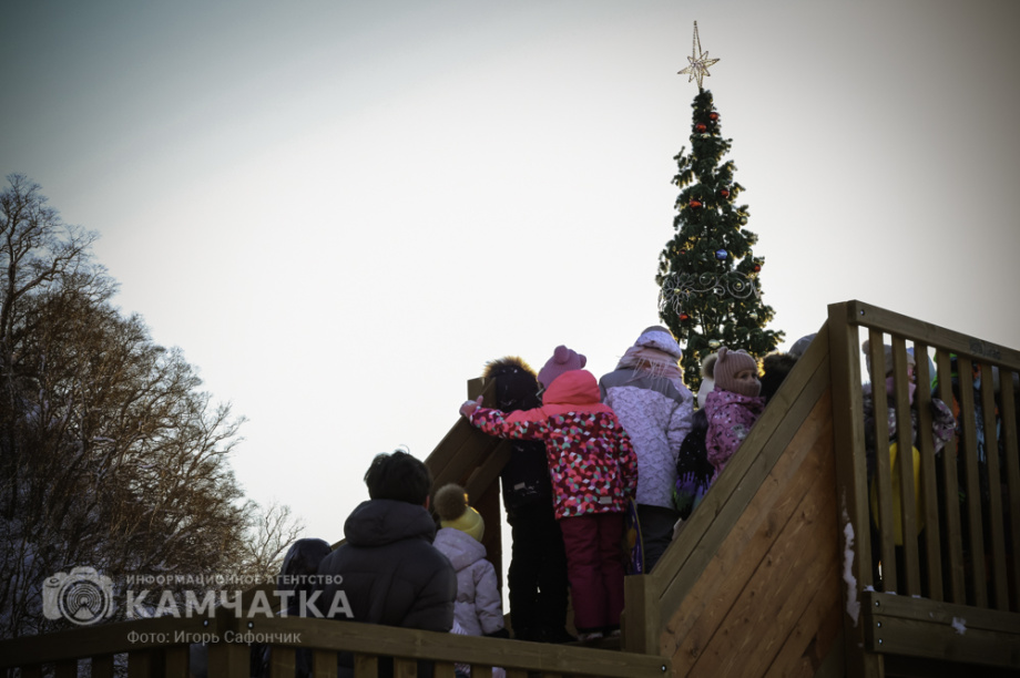 В Петропавловске-Камчатском продолжаются новогодние развлечения (фоторепортаж). Фото: «Камчатка Сегодня» \ Игорь Сафончик. Фотография 27