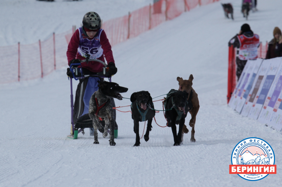 «Дюлин-2021». Фото: Виктор Гуменюк. Фотография 72