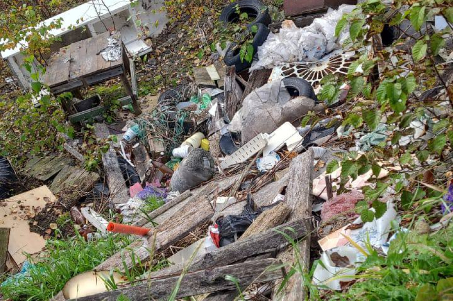  В лесополосе Елизовского района неизвестные устроили свалку. Фото: Экология Камчатка. Фотография 10