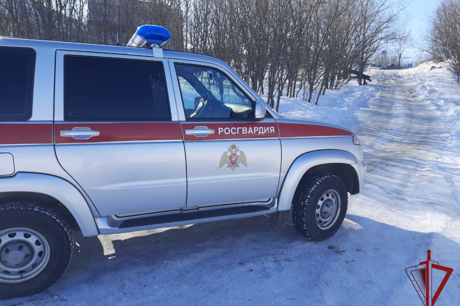 Росгвардейцы на Камчатке задержали вооруженного нарушителя. Фото: управление Росгвардии по Камчатскому краю