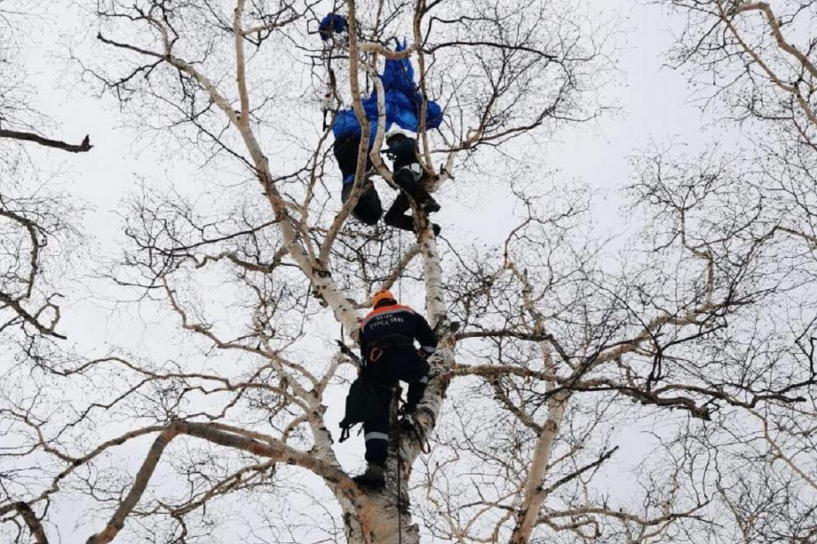 Парапланерист застрял на дереве в Петропавловске . Фото: пресс-служба краевого управления МЧС. Фотография 1