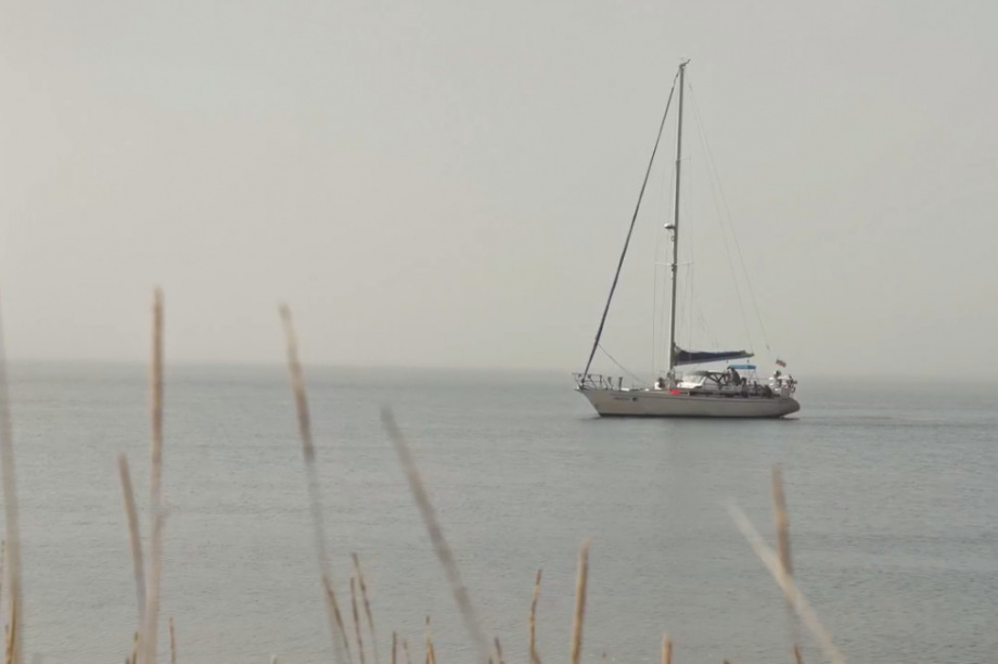Романтика морской атмосферы и природы Камчатки. Фото: скрин видео Вячеслава Борисовского. Фотография 3