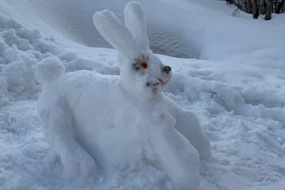 Жители Камчатки создали снежные скульптуры обитателей  местных заповедников. Фото: пресс-служба Кроноцкого заповедника. Фотография 13