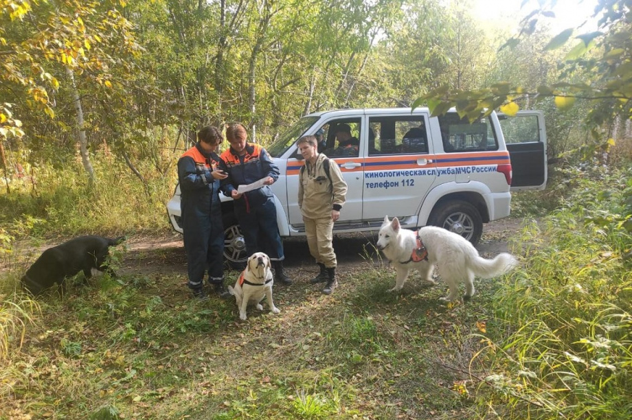 На Камчатке пятый день ищут пропавшего в лесу пенсионера. Фото: 41.mchs.gov.ru. Фотография 2