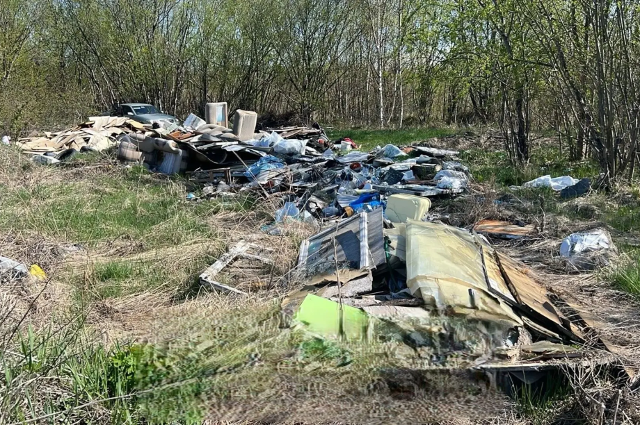 В Елизовском округе с помощью камер ликвидируют незаконные свалки. Фото: Администрация ЕМО. Фотография 4
