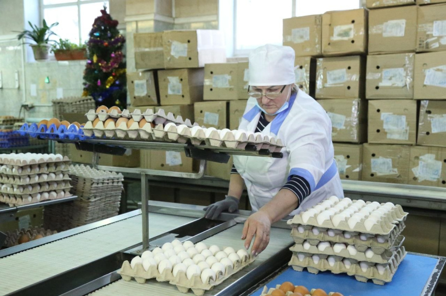 Камчатка встретит Пасху со своими яйцами: дефицита не будет. Фото: Законодательное собрание Камчатского края. Фотография 4