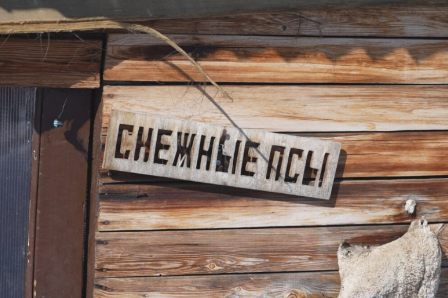 Для камчатских детей участников СВО устроили экскурсию в питомник «Снежные псы». Фото с сайта  kamgov.ru. Фотография 3