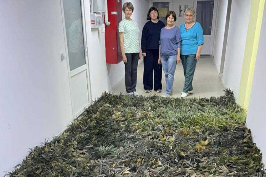 Гуманитарная помощь для камчатских бойцов летит из Олюторского района. Фото: Центр «Работа России» (Камчатка). Фотография 2