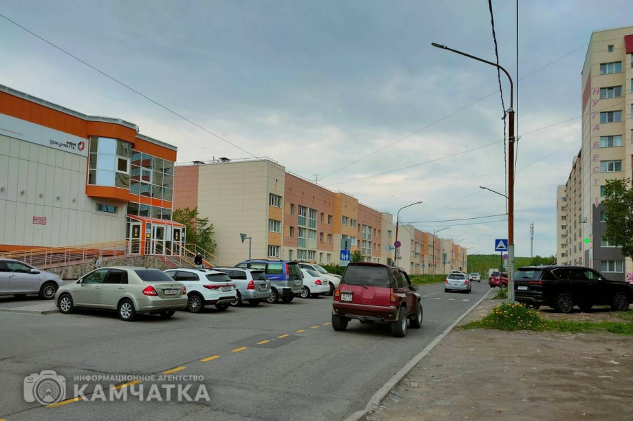 На улице Савченко в Петропавловске-Камчатском высадят рябины. Фото: Олеся Сурина, kamgov.ru. Фотография 5