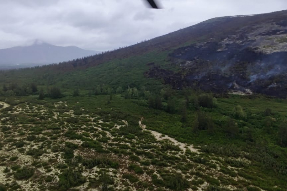 Природный пожар на севере Камчатки прошел 455 гектаров. Фото: kamgov.ru. Фотография 3