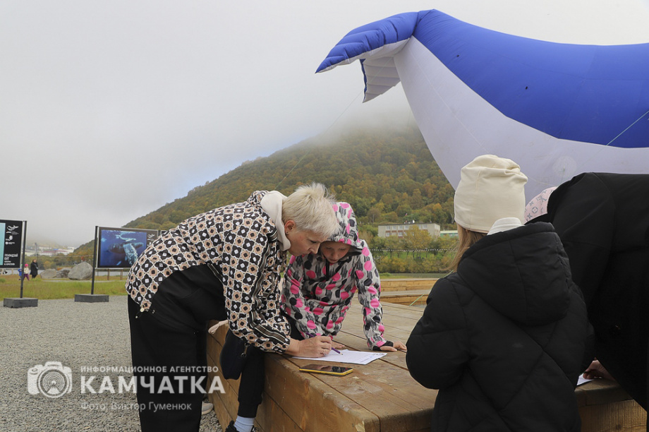В Камчатском крае состоялся экологический фестиваль «Море жизни» (фоторепортаж). Фото: ИА «Камчатка»\Виктор Гуменюк. Фотография 90