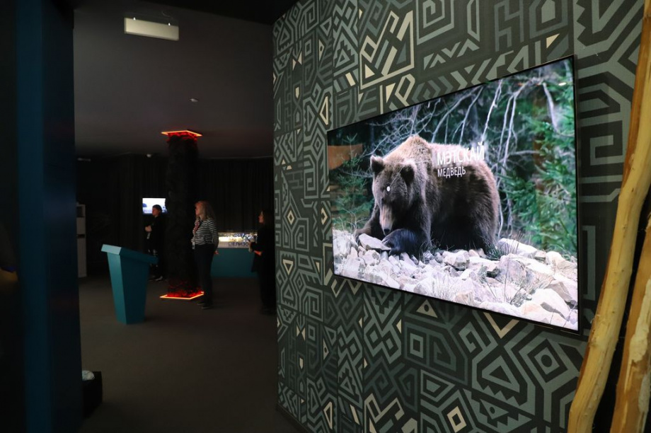 Восточный экономический форум. Фоторепортаж. Фото: Виктор Гуменюк\ИА "Камчатка". Фотография 114