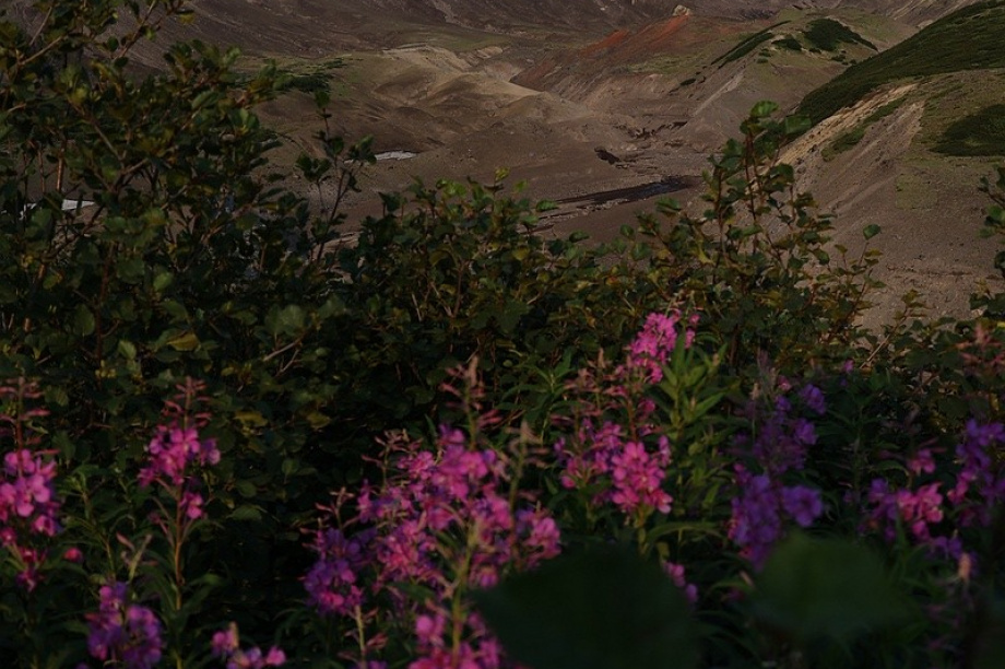 День вулкана в объективе камчатского фотографа Виктора Гуменюка. Фото: Виктор Гуменюк. Фотография 4