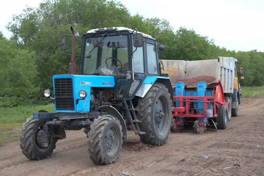 В Камчатском крае сельхозпредприятия завершают посадку картошки. Фото: Виктор Гуменюк, kamgov.ru. Фотография 1