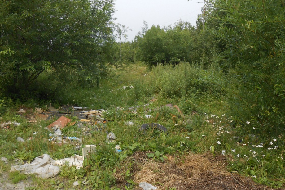  Две новые свалки выявлены на сельхозземлях в Елизовском районе Камчатки. Фото: пресс-служба Россельхознадзора 